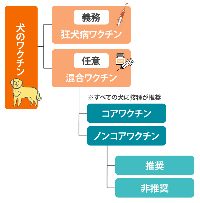 犬のワクチンの分類